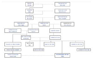 hazrat ali family tree