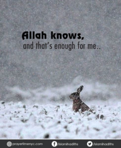 Islamic quotes about Allah love